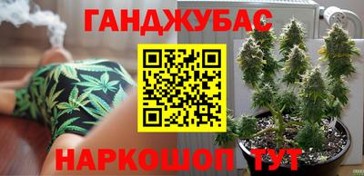 стаф Обь