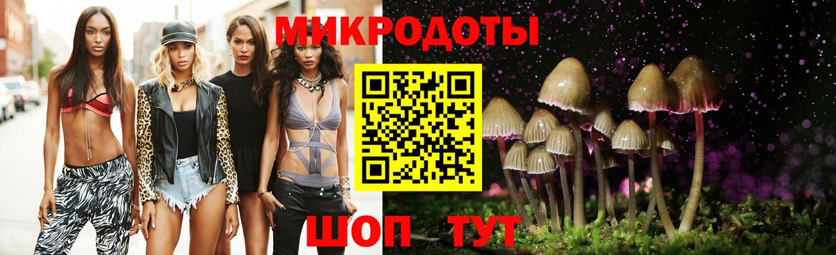 Галлюциногенные грибы Cubensis Серов