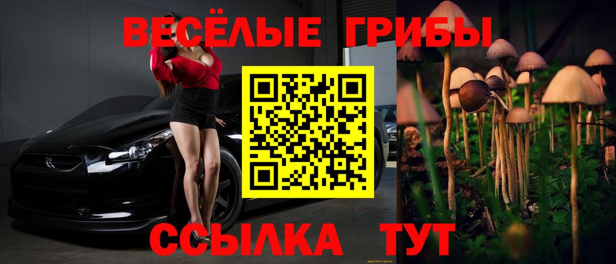 Галлюциногенные грибы мухоморы  где можно купить   Вход с VPN  Серов  Галлюциногенные грибы GOLDEN TEACHER 